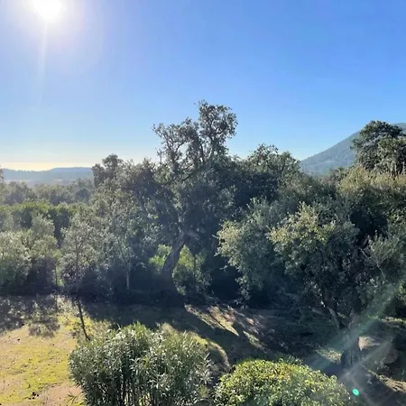 Un Gout De Paradis Apartament