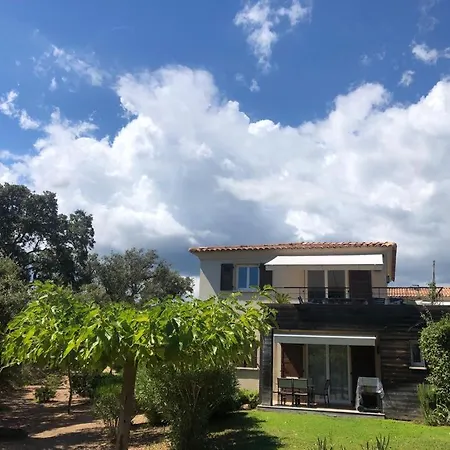 Un Gout De Paradis Apartment Zonza