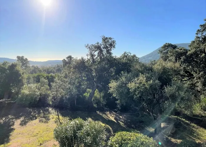 Un Gout De Paradis 公寓