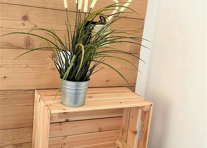 Un Gout De Paradis *